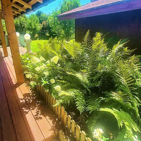 Lejlighed Ferienwohnung Attiswil